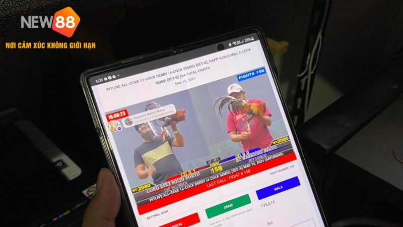 Đá gà online tiện lợi