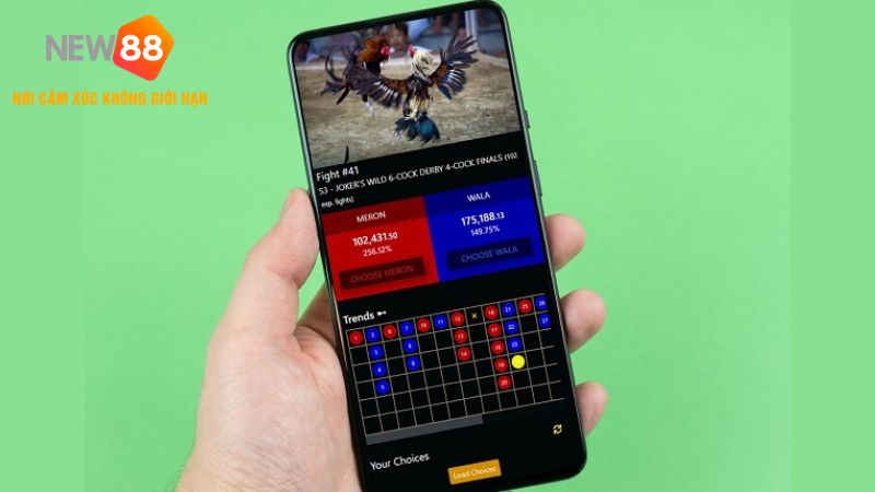 Chơi đá gà online phổ biến